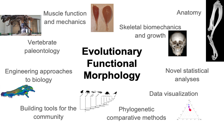 Image of research topics